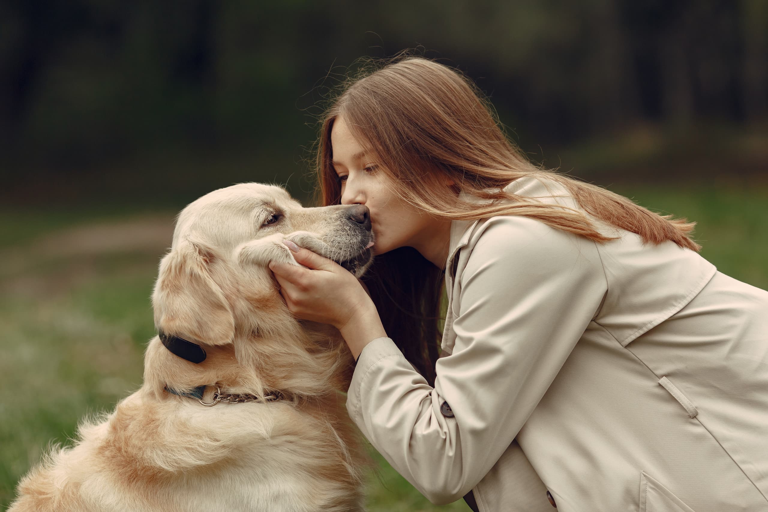 Una persona comparte un momento de cariño con su perro